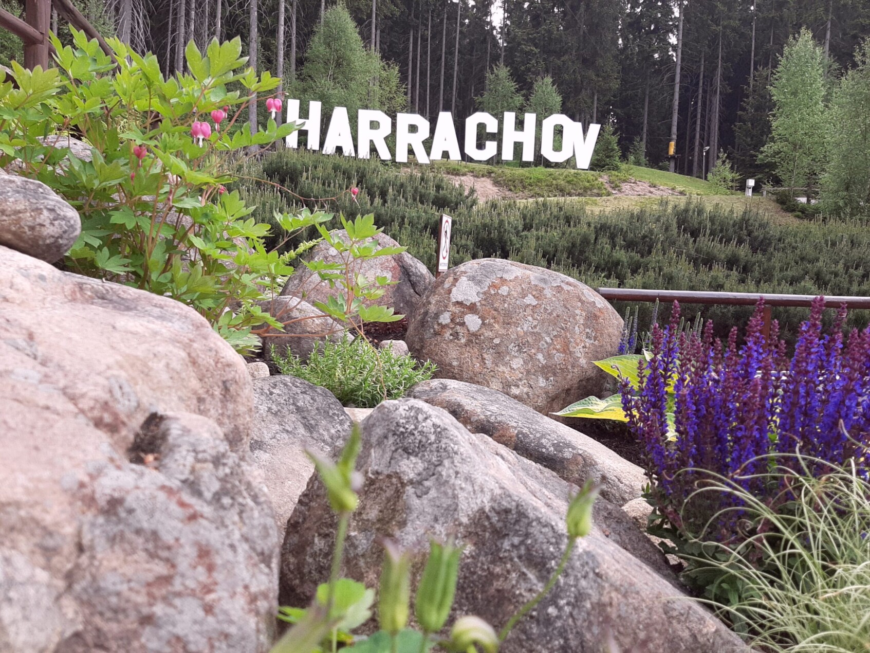 Harrachov
