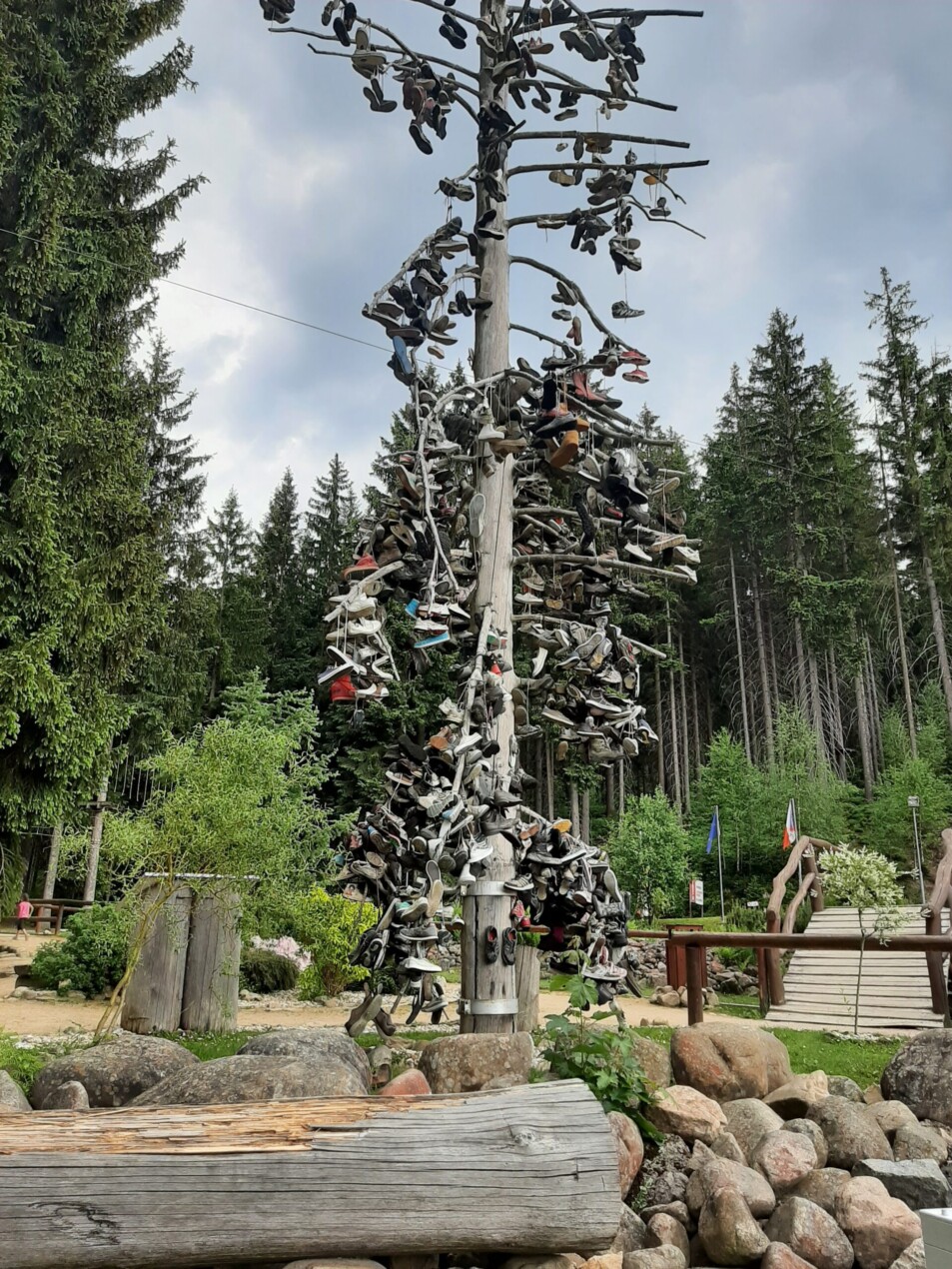 botovnik bobova draha Harrachov